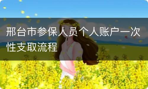 邢台市参保人员个人账户一次性支取流程
