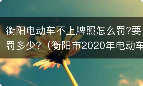 衡阳电动车不上牌照怎么罚?要罚多少?（衡阳市2020年电动车上牌要求）