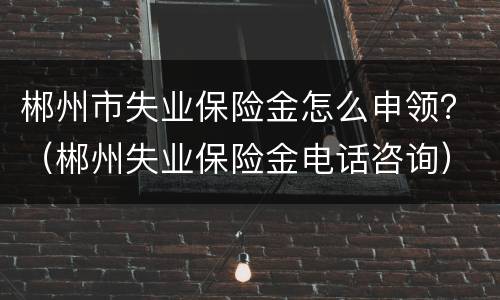 郴州市失业保险金怎么申领？（郴州失业保险金电话咨询）