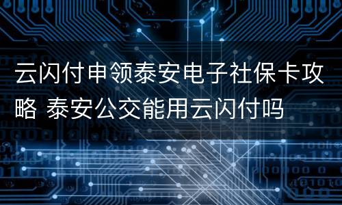 云闪付申领泰安电子社保卡攻略 泰安公交能用云闪付吗