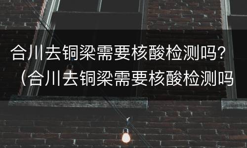 合川去铜梁需要核酸检测吗？（合川去铜梁需要核酸检测吗现在）