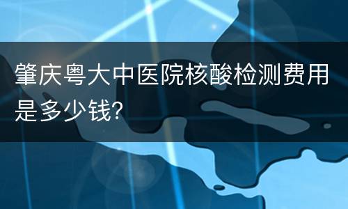 肇庆粤大中医院核酸检测费用是多少钱？