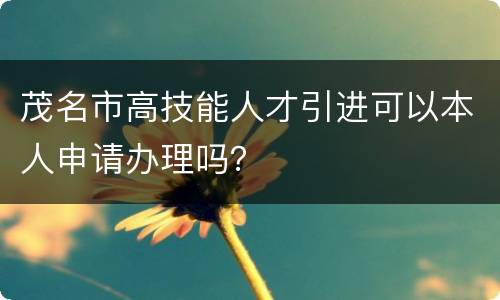 茂名市高技能人才引进可以本人申请办理吗？