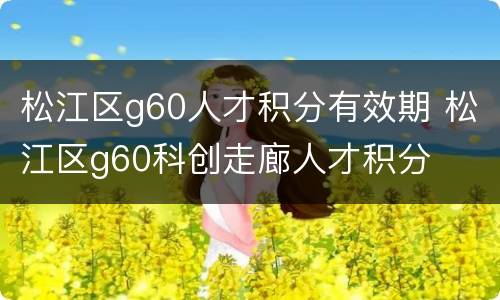 松江区g60人才积分有效期 松江区g60科创走廊人才积分