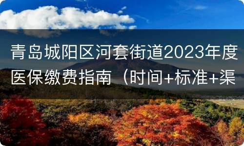 青岛城阳区河套街道2023年度医保缴费指南（时间+标准+渠道）