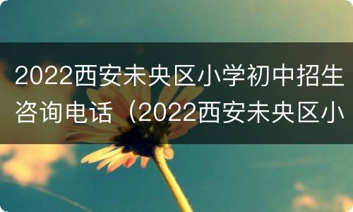 2022西安未央区小学初中招生咨询电话（2022西安未央区小学初中招生咨询电话是多少）