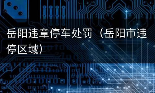 岳阳违章停车处罚（岳阳市违停区域）