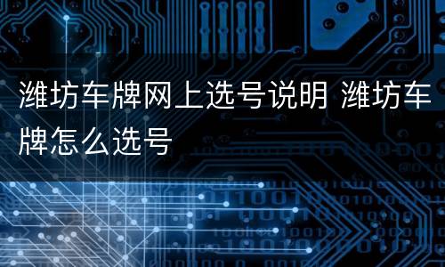 潍坊车牌网上选号说明 潍坊车牌怎么选号