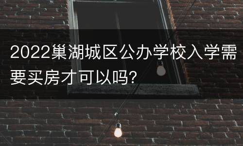 2022巢湖城区公办学校入学需要买房才可以吗？