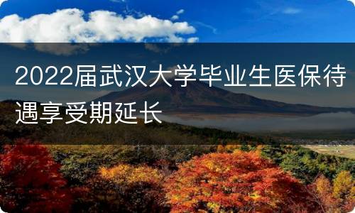 2022届武汉大学毕业生医保待遇享受期延长