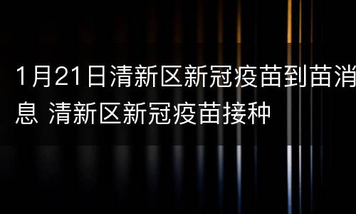 1月21日清新区新冠疫苗到苗消息 清新区新冠疫苗接种
