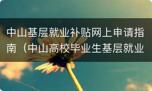 中山基层就业补贴网上申请指南（中山高校毕业生基层就业补贴）
