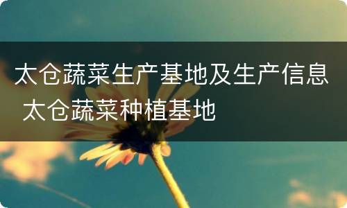 太仓蔬菜生产基地及生产信息 太仓蔬菜种植基地