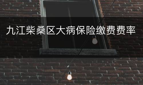 九江柴桑区大病保险缴费费率