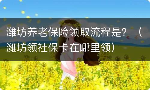 潍坊养老保险领取流程是？（潍坊领社保卡在哪里领）