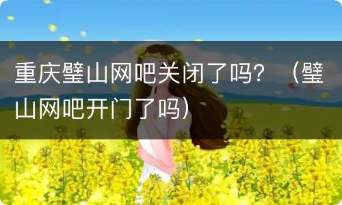 重庆璧山网吧关闭了吗？（璧山网吧开门了吗）