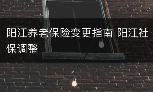 阳江养老保险变更指南 阳江社保调整