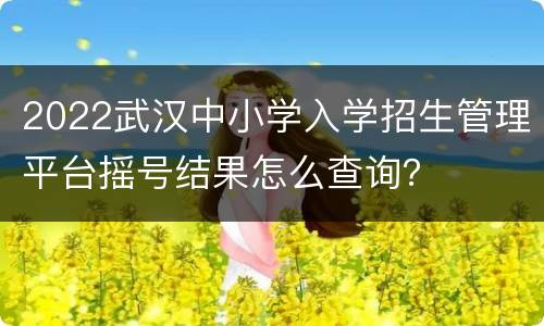 2022武汉中小学入学招生管理平台摇号结果怎么查询？