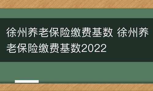 徐州养老保险缴费基数 徐州养老保险缴费基数2022