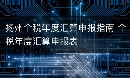 扬州个税年度汇算申报指南 个税年度汇算申报表
