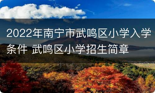 2022年南宁市武鸣区小学入学条件 武鸣区小学招生简章