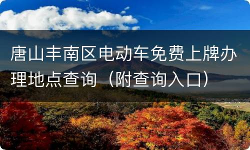 唐山丰南区电动车免费上牌办理地点查询（附查询入口）