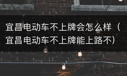 宜昌电动车不上牌会怎么样（宜昌电动车不上牌能上路不）