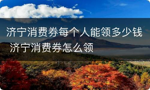济宁消费券每个人能领多少钱 济宁消费券怎么领