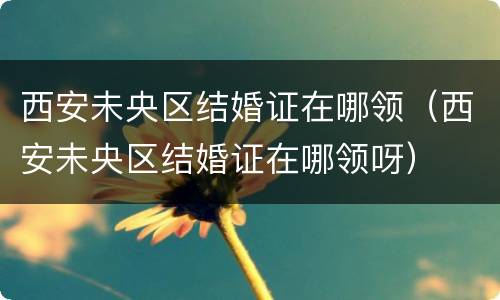 西安未央区结婚证在哪领（西安未央区结婚证在哪领呀）
