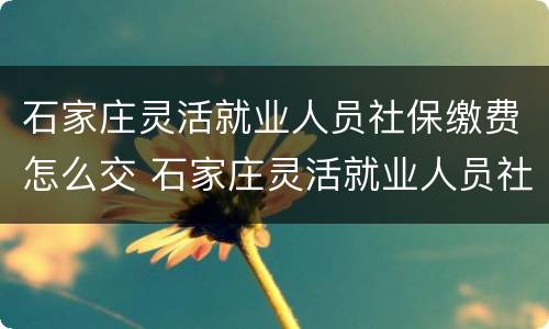 石家庄灵活就业人员社保缴费怎么交 石家庄灵活就业人员社保缴费交多少