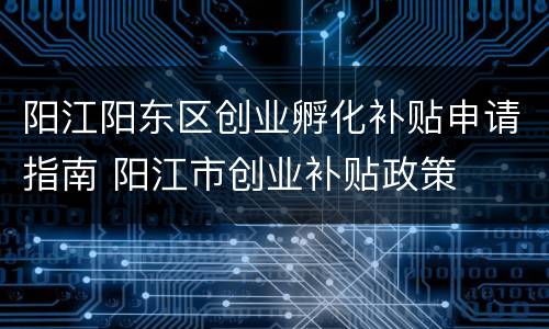 阳江阳东区创业孵化补贴申请指南 阳江市创业补贴政策