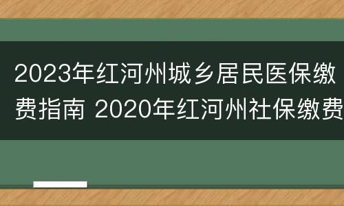 2023年红河州城乡居民医保缴费指南 2020年红河州社保缴费基数