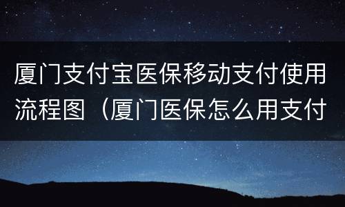 厦门支付宝医保移动支付使用流程图（厦门医保怎么用支付宝交钱）