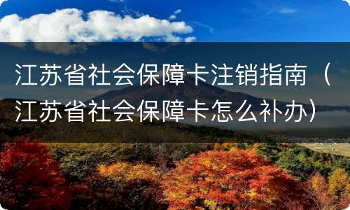 江苏省社会保障卡注销指南（江苏省社会保障卡怎么补办）