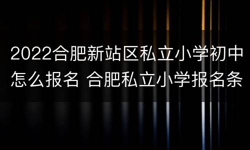 2022合肥新站区私立小学初中怎么报名 合肥私立小学报名条件