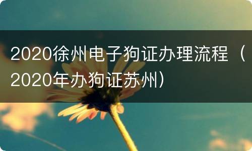 2020徐州电子狗证办理流程（2020年办狗证苏州）