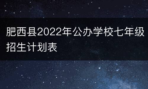 肥西县2022年公办学校七年级招生计划表