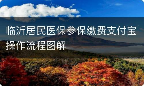 临沂居民医保参保缴费支付宝操作流程图解