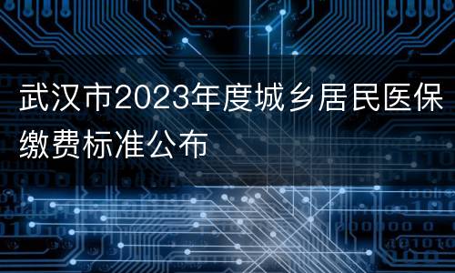 武汉市2023年度城乡居民医保缴费标准公布