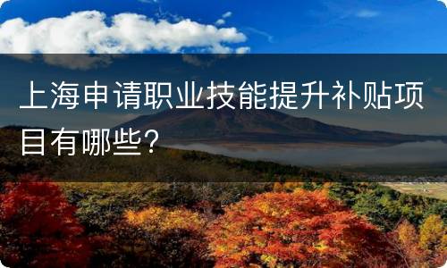 上海申请职业技能提升补贴项目有哪些?