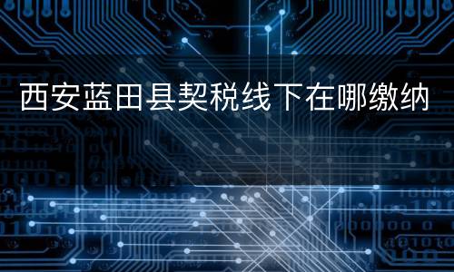 西安蓝田县契税线下在哪缴纳