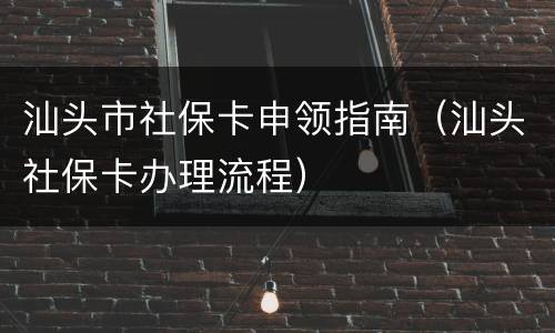 汕头市社保卡申领指南（汕头社保卡办理流程）