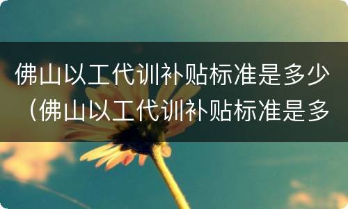 佛山以工代训补贴标准是多少（佛山以工代训补贴标准是多少钱一个月）