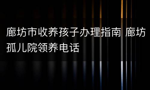 廊坊市收养孩子办理指南 廊坊孤儿院领养电话