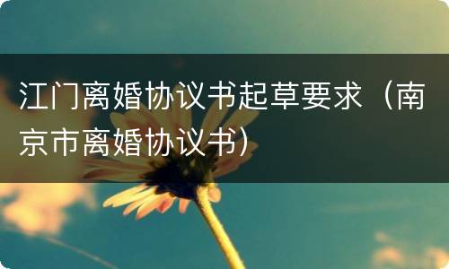 江门离婚协议书起草要求（南京市离婚协议书）