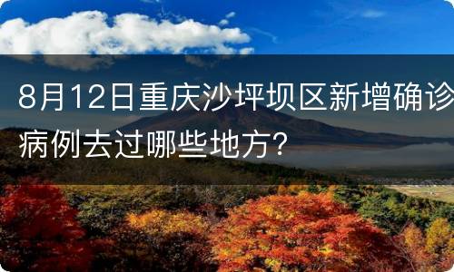 8月12日重庆沙坪坝区新增确诊病例去过哪些地方？