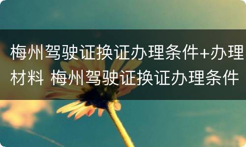 梅州驾驶证换证办理条件+办理材料 梅州驾驶证换证办理条件 办理材料有哪些