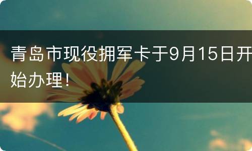青岛市现役拥军卡于9月15日开始办理！