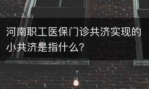 河南职工医保门诊共济实现的小共济是指什么？