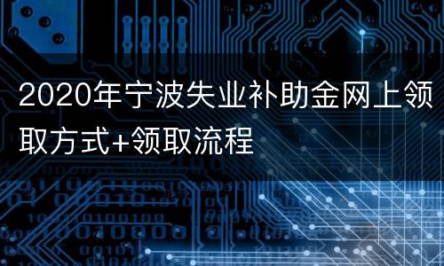 2020年宁波失业补助金网上领取方式+领取流程